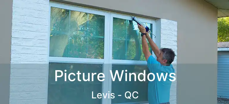  Picture Windows Levis - QC