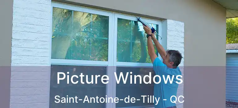  Picture Windows Saint-Antoine-de-Tilly - QC