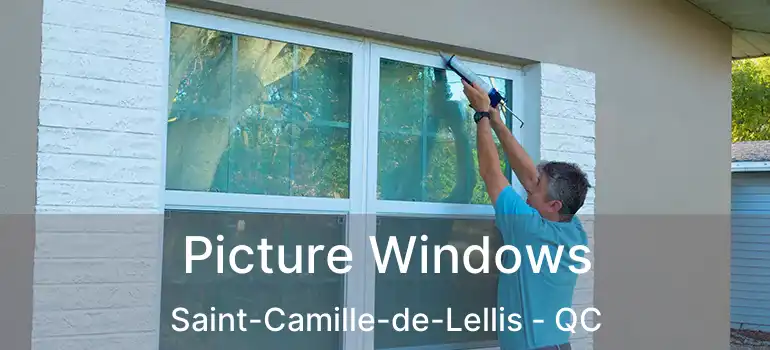  Picture Windows Saint-Camille-de-Lellis - QC
