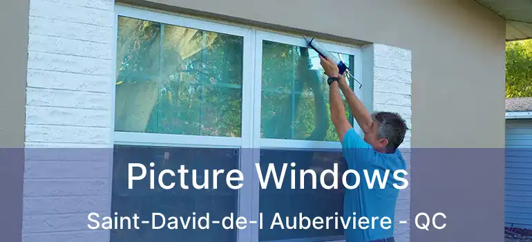  Picture Windows Saint-David-de-l Auberiviere - QC