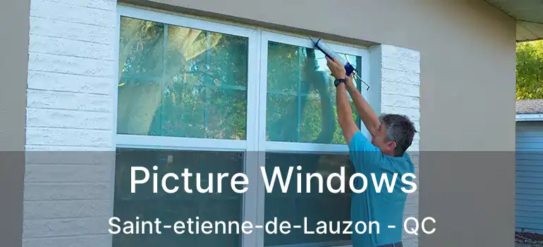  Picture Windows Saint-etienne-de-Lauzon - QC