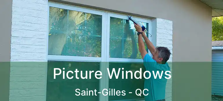  Picture Windows Saint-Gilles - QC