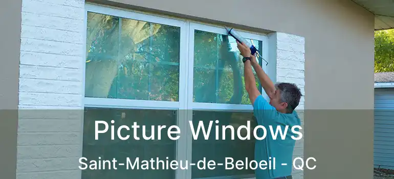  Picture Windows Saint-Mathieu-de-Beloeil - QC