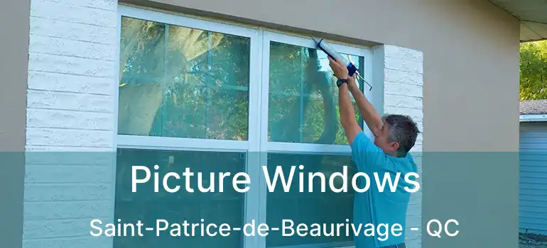  Picture Windows Saint-Patrice-de-Beaurivage - QC