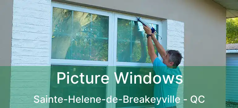  Picture Windows Sainte-Helene-de-Breakeyville - QC