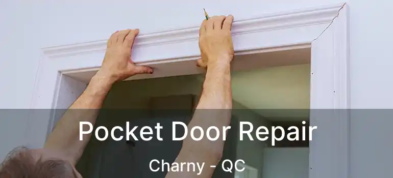  Pocket Door Repair Charny - QC