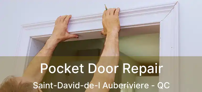  Pocket Door Repair Saint-David-de-l Auberiviere - QC