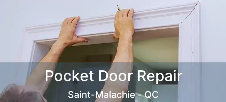  Pocket Door Repair Saint-Malachie - QC