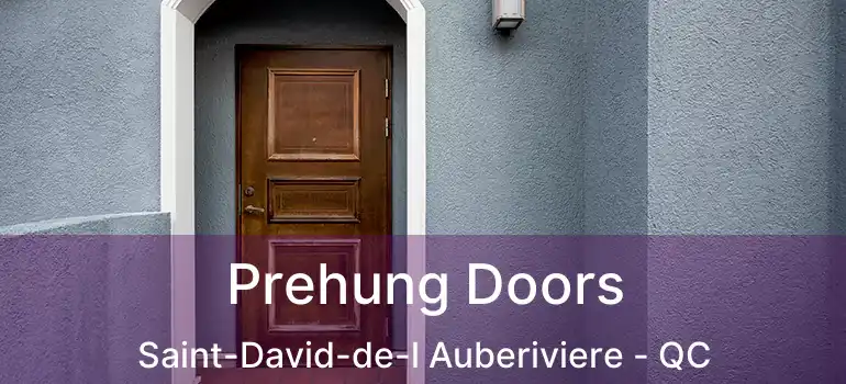  Prehung Doors Saint-David-de-l Auberiviere - QC