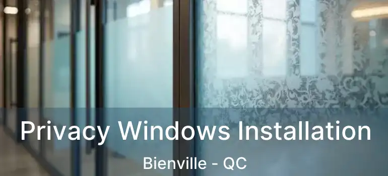  Privacy Windows Installation Bienville - QC