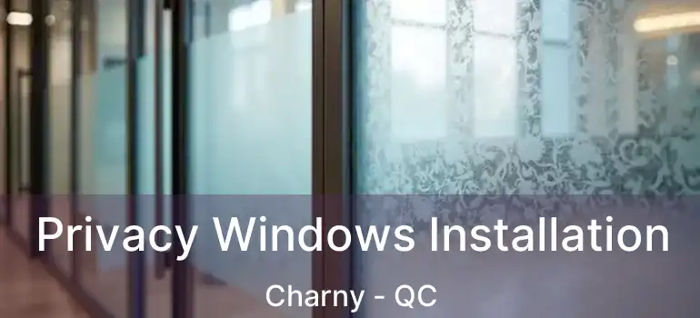  Privacy Windows Installation Charny - QC
