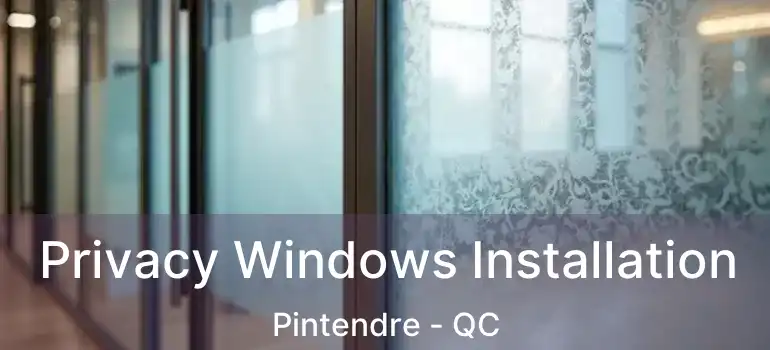  Privacy Windows Installation Pintendre - QC