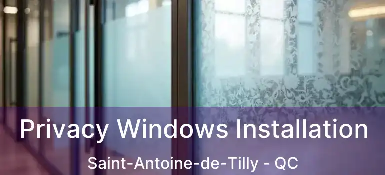  Privacy Windows Installation Saint-Antoine-de-Tilly - QC