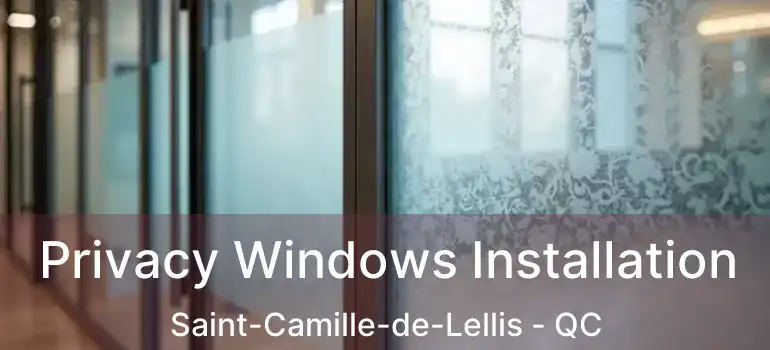  Privacy Windows Installation Saint-Camille-de-Lellis - QC
