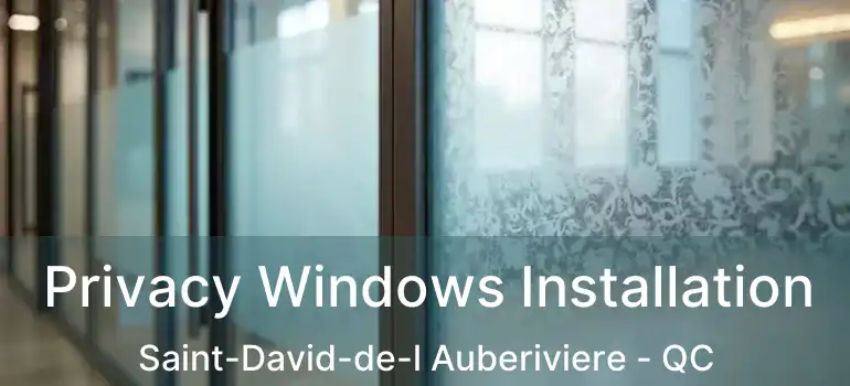  Privacy Windows Installation Saint-David-de-l Auberiviere - QC