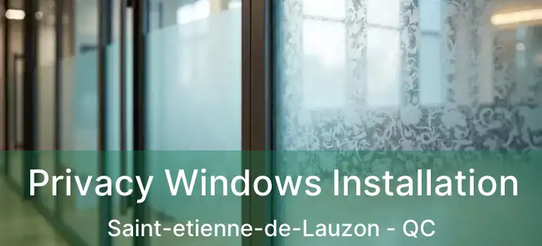  Privacy Windows Installation Saint-etienne-de-Lauzon - QC