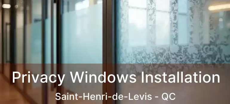  Privacy Windows Installation Saint-Henri-de-Levis - QC
