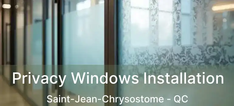  Privacy Windows Installation Saint-Jean-Chrysostome - QC