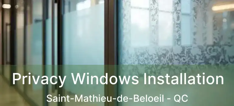  Privacy Windows Installation Saint-Mathieu-de-Beloeil - QC