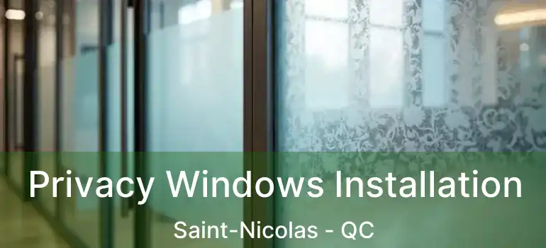  Privacy Windows Installation Saint-Nicolas - QC