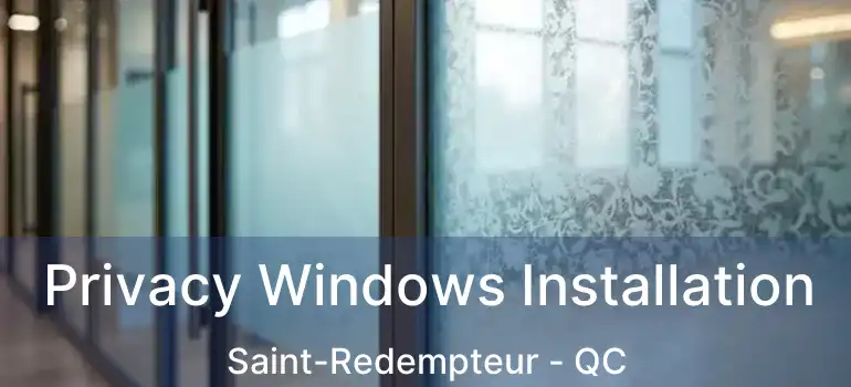  Privacy Windows Installation Saint-Redempteur - QC