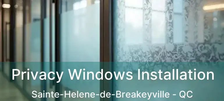  Privacy Windows Installation Sainte-Helene-de-Breakeyville - QC
