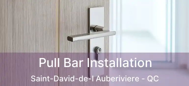  Pull Bar Installation Saint-David-de-l Auberiviere - QC