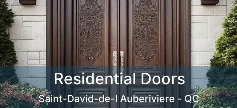  Residential Doors Saint-David-de-l Auberiviere - QC