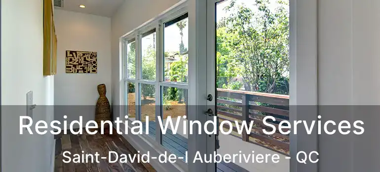  Residential Window Services Saint-David-de-l Auberiviere - QC