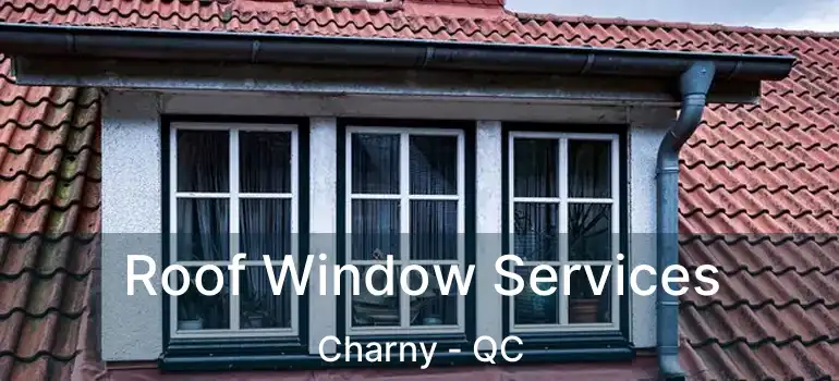  Roof Window Services Charny - QC