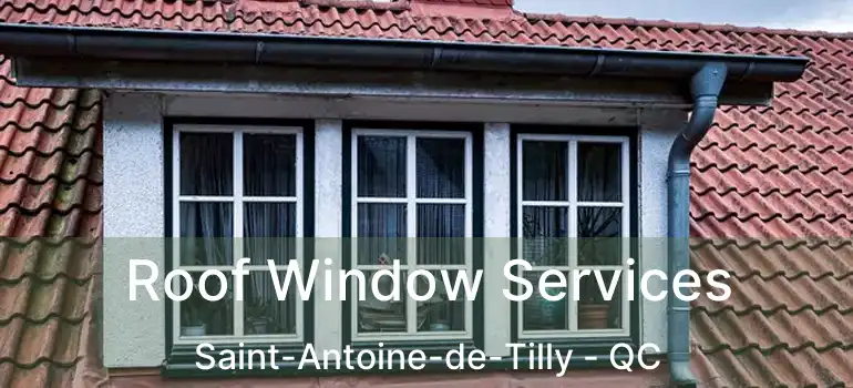  Roof Window Services Saint-Antoine-de-Tilly - QC