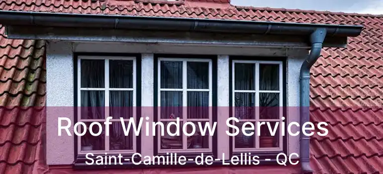 Roof Window Services Saint-Camille-de-Lellis - QC