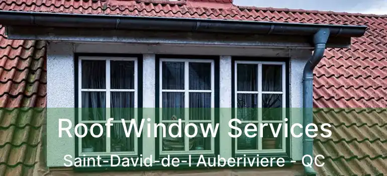  Roof Window Services Saint-David-de-l Auberiviere - QC