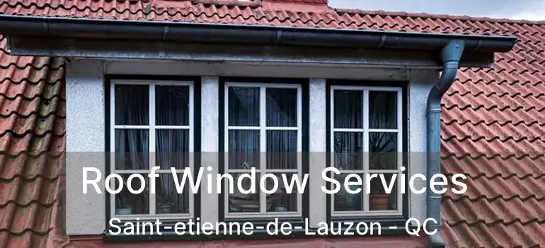  Roof Window Services Saint-etienne-de-Lauzon - QC