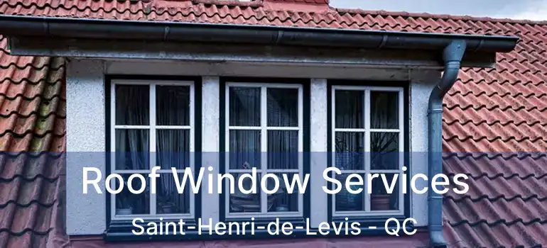  Roof Window Services Saint-Henri-de-Levis - QC