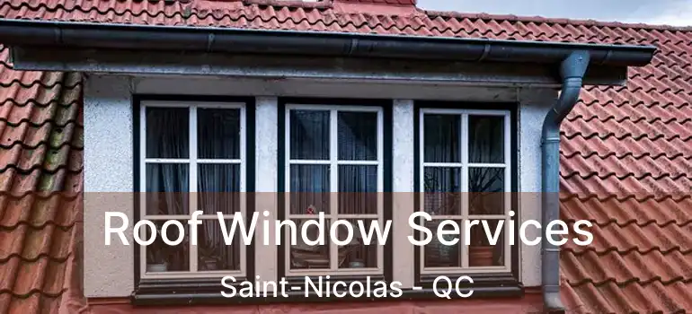  Roof Window Services Saint-Nicolas - QC