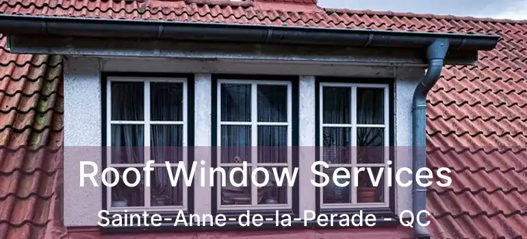  Roof Window Services Sainte-Anne-de-la-Perade - QC