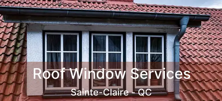  Roof Window Services Sainte-Claire - QC