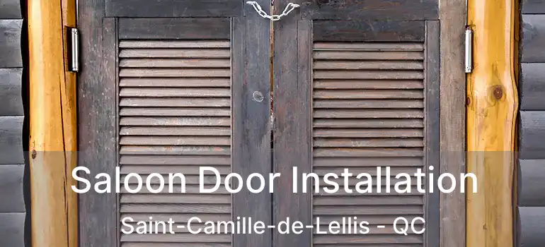  Saloon Door Installation Saint-Camille-de-Lellis - QC