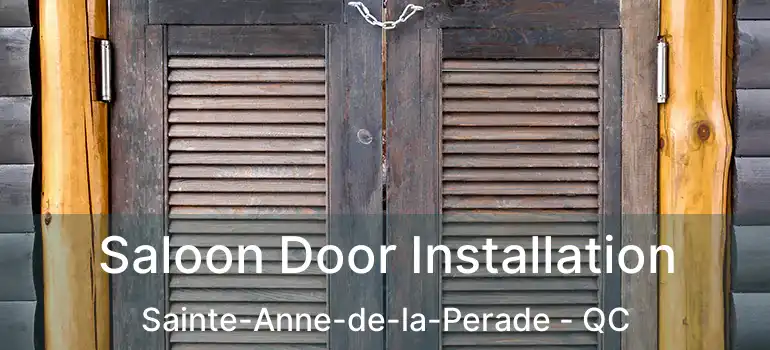  Saloon Door Installation Sainte-Anne-de-la-Perade - QC