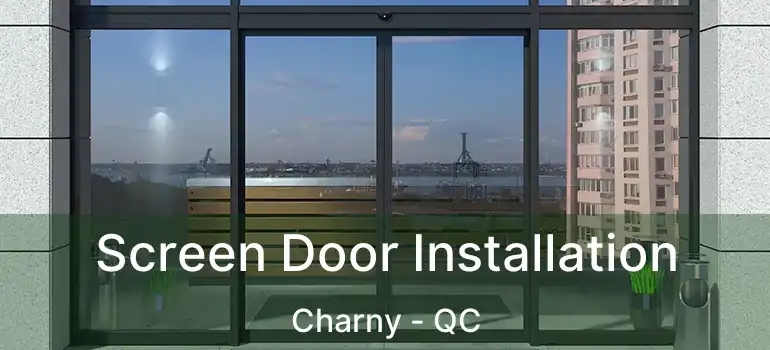  Screen Door Installation Charny - QC