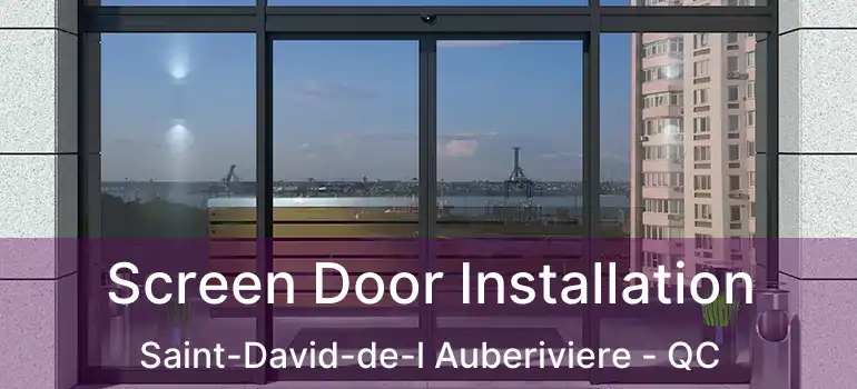  Screen Door Installation Saint-David-de-l Auberiviere - QC