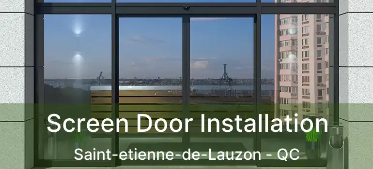 Screen Door Installation Saint-etienne-de-Lauzon - QC
