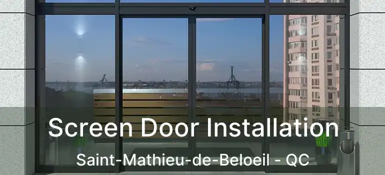  Screen Door Installation Saint-Mathieu-de-Beloeil - QC