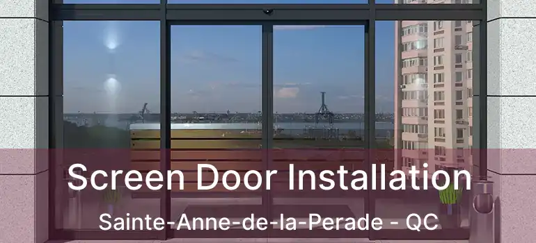  Screen Door Installation Sainte-Anne-de-la-Perade - QC