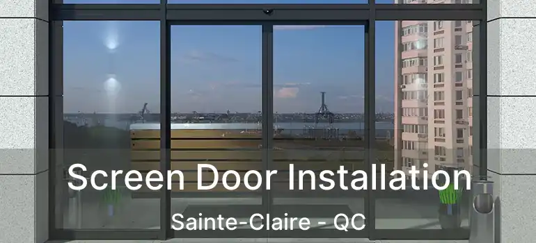  Screen Door Installation Sainte-Claire - QC