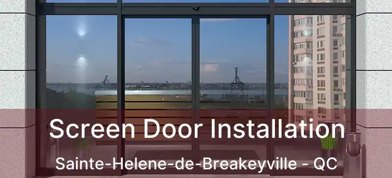  Screen Door Installation Sainte-Helene-de-Breakeyville - QC