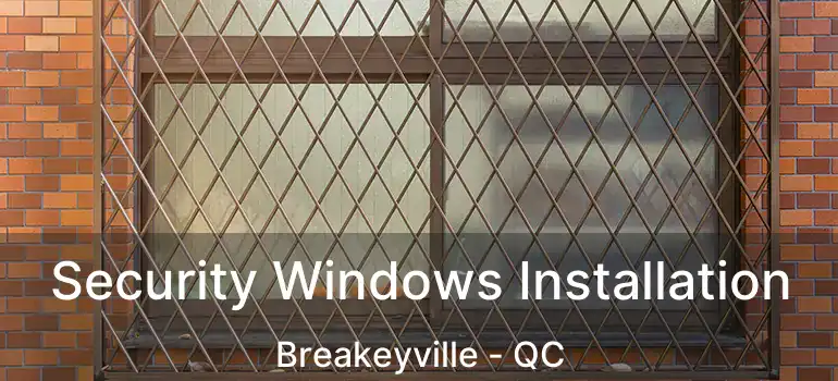  Security Windows Installation Breakeyville - QC