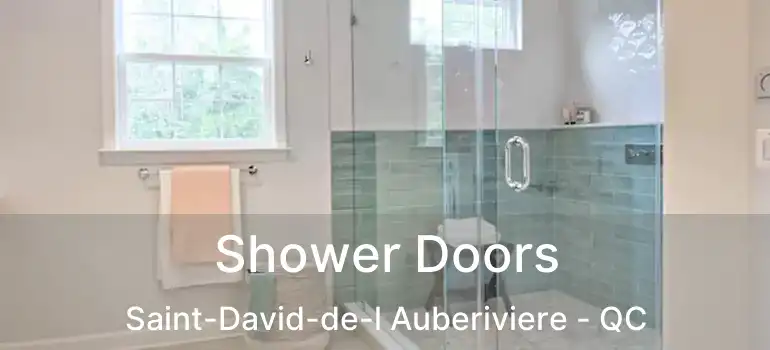  Shower Doors Saint-David-de-l Auberiviere - QC
