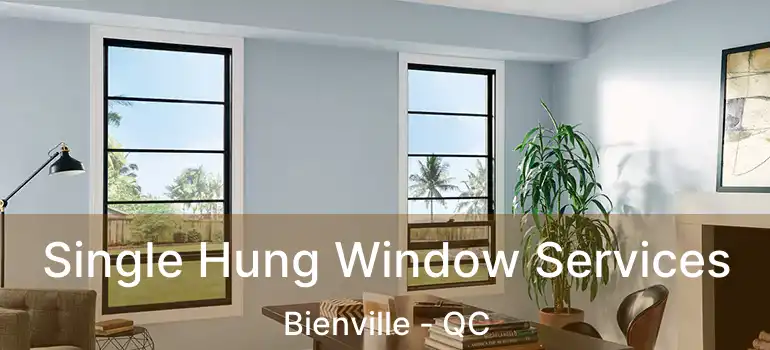  Single Hung Window Services Bienville - QC